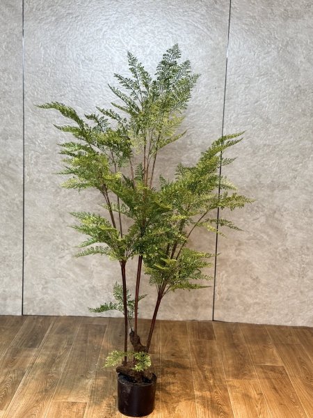 شجرة خنشار سلكون T-5